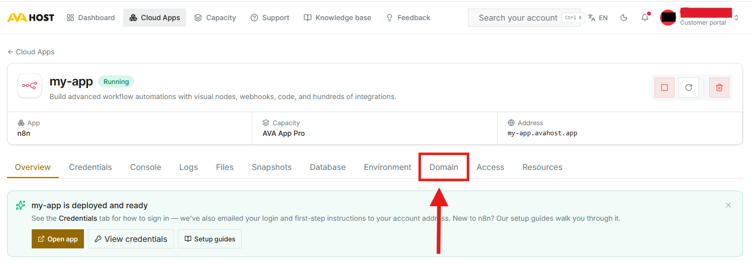 Page de gestion AVA HOST Cloud App avec l'onglet Domaine en surbrillance
